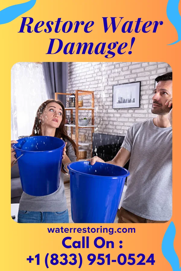 water restoration Shield Emergency Restoration Experts Cheat Lake