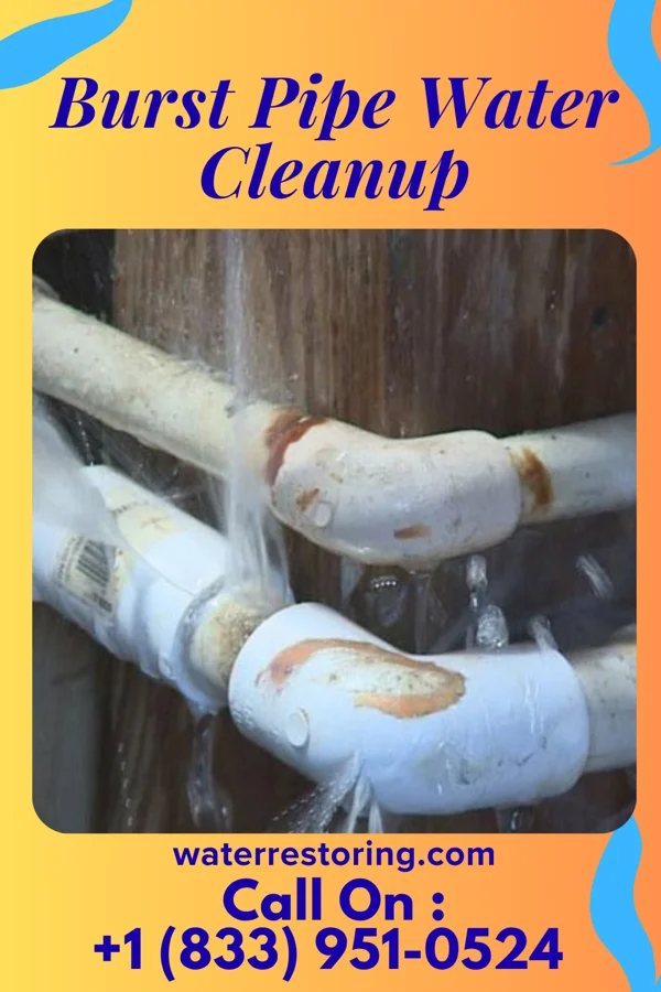 Burst Pipe Water Cleanup in Cheat Lake, WV