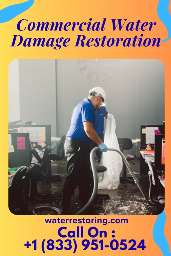Commercial Water Damage Restoration in Cheat Lake, WV