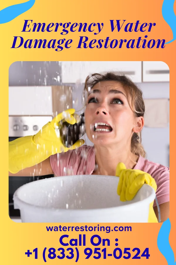 Emergency Water Damage Restoration in Cheat Lake, WV