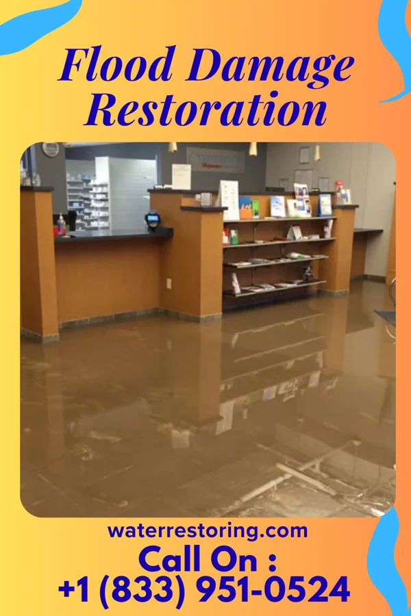 Flood Damage Restoration in Cheat Lake, WV