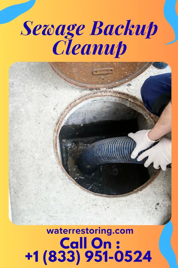 Sewage Backup Cleanup in Cheat Lake, WV
