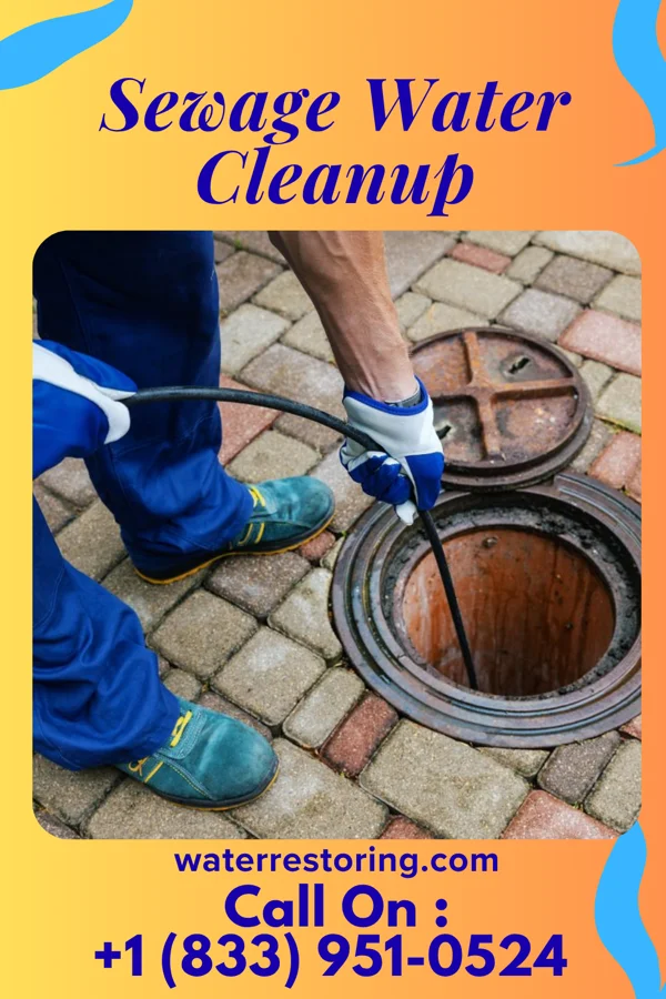 Sewage Water Cleanup in Cheat Lake, WV